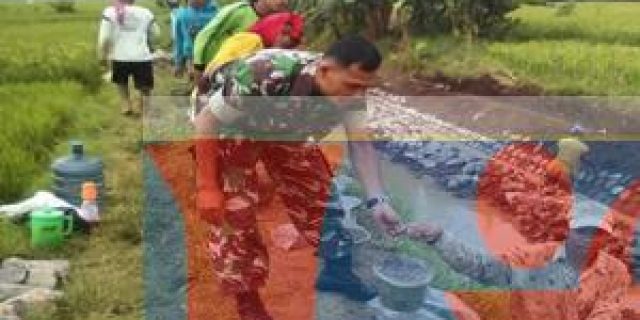 Babinsa Koramil 09/TM Dampingi Petani Bergotong Royong