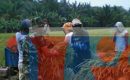 Babinsa Koramil 13/ Tebing Tinggi Dampingi Petani Panen Padi