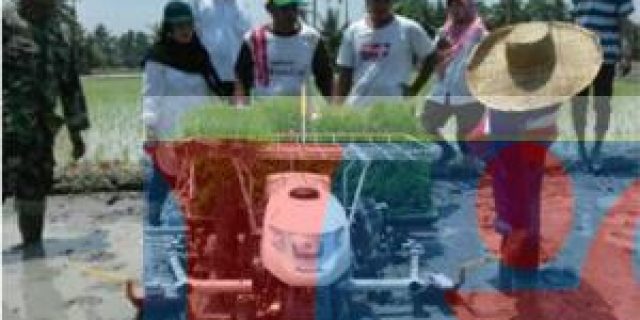 Babinsa 01/Medang Deras Tanam Padi Bersama Petani