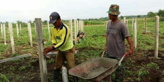 Babinsa dan Petani Pasang Tiang Penyangga Budidaya Buah Naga