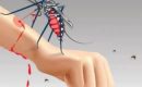 Dinkes Sumut Ungkap Total Kasus KLB DBD dan Malaria di Nisel