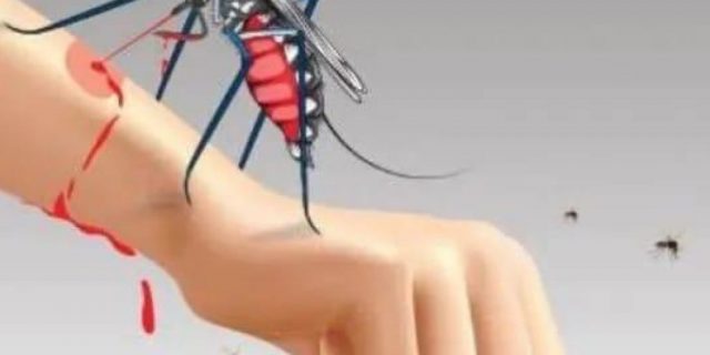 Dinkes Sumut Ungkap Total Kasus KLB DBD dan Malaria di Nisel