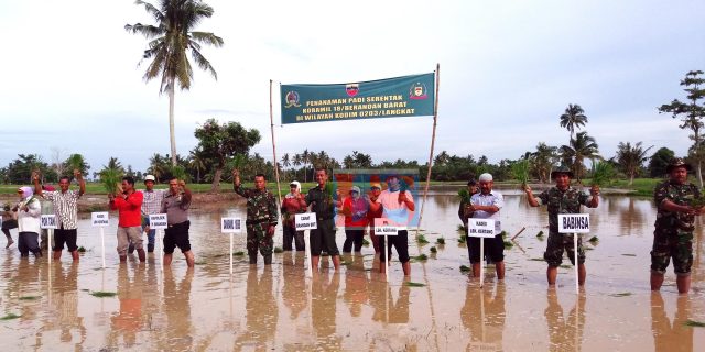 Danramil 18/Berandan Barat Laksanakan Kegiatan Tanam Padi