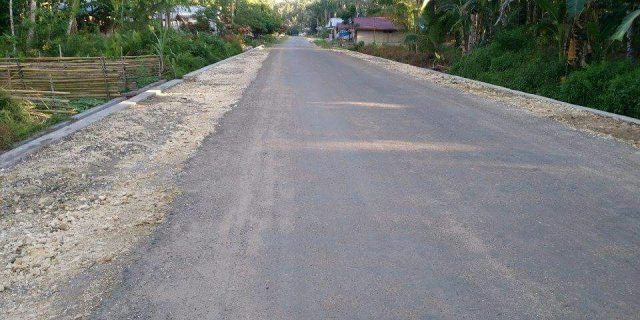 Kegiatan Peningkatan Jalan Provinsi Afulu Menuju Nias Barat “Terlaksana” dengan Baik