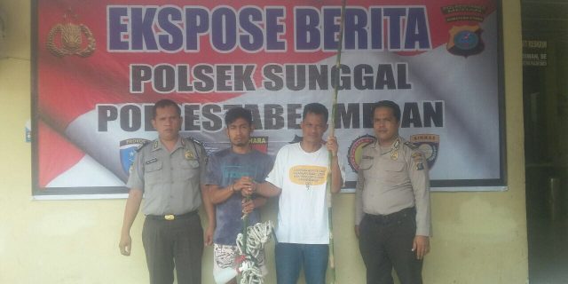 Kedua Pencurian Sarang Walet Diamankan Polisi
