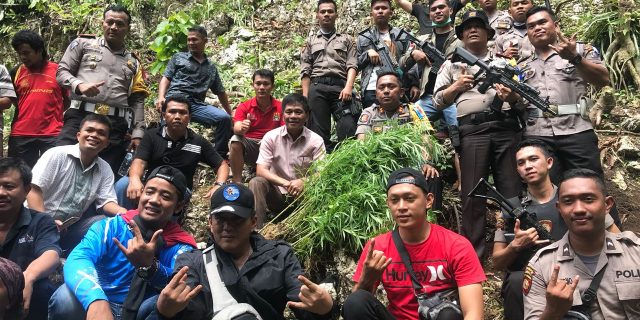 Polres Nias Selatan Temukan Satu Hektar Ladang Ganja di Areal Perbukitan
