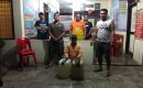 Polsek Lolowau Polres Nisel Kembali Sita 105 Liter Tuak Suling