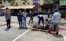 Polsek Medan Baru Qurban 3 ekor Sapi di Hari Raya Idul Adha 1441 Hijriah