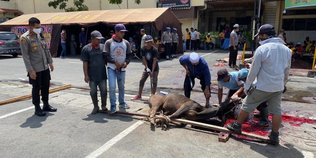 Polsek Medan Baru Qurban 3 ekor Sapi di Hari Raya Idul Adha 1441 Hijriah