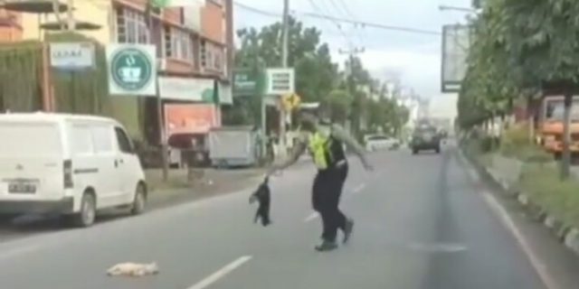 Aiptu Indra Gunawan Evakuasi dan Kuburkan 2 Ekor Kucing Usai Ditabrak Mobil