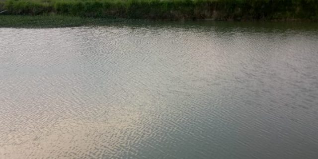 Di Duga Lahan HGU PTPN II Di Jadikan Ajang Bisnis Kolam Ikan