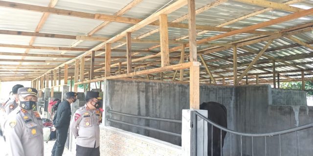Kapoldasu Cek Kesehatan Satwa Turangga di Polres Simalungun