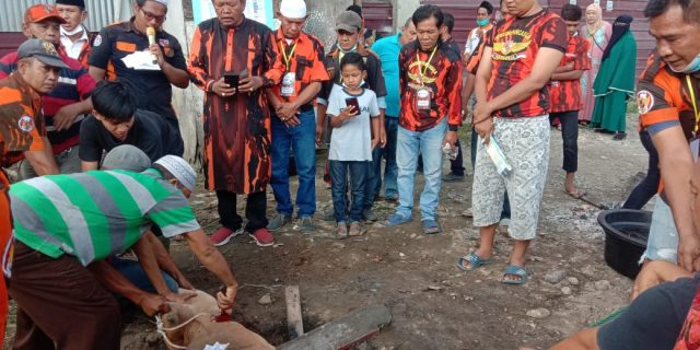 PAC PP Medan Area Berqurban   3 Ekor Lembu dan 5 Ekor Kambing