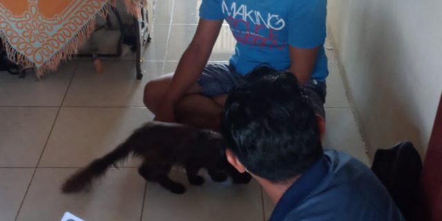 Aksi Punglinya Viral, Dodi Pasrah Diciduk Tekab Polsek Medan Baru