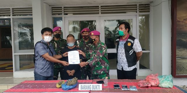 Prajurit Yonif 8 Marinir Petarung Harimau Putih Bekuk Pengedar Ganja Antar Provinsi