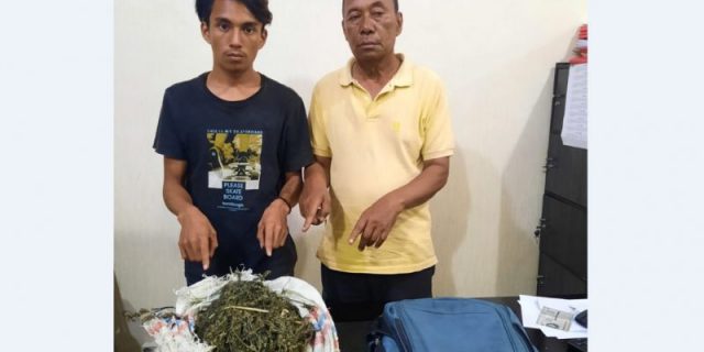 Polres Tanah Karo Ringkus Kurir Ganja Siap Edar 1,3 Kg