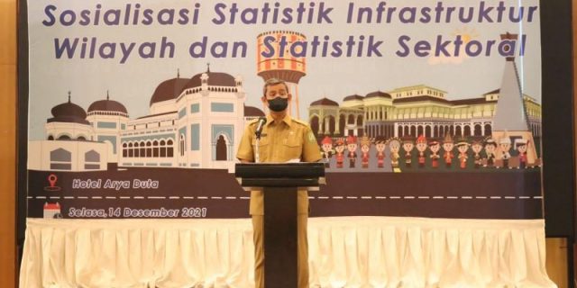 OPD Pemko Medan Ikuti Sosialisasi Statistik Infrastruktur Wilayah dan Statistik Sektoral