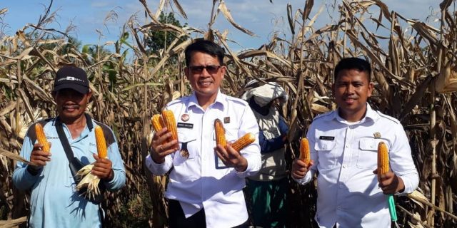 Karutan Kelas l Labuhan Deli Kanwil Kumham Sumut Ciptakan WBP Handal