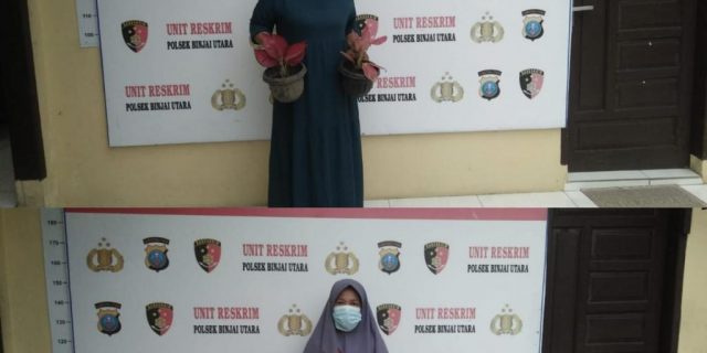 Dua Wanita Pencuri dan Penadah 14 Pot Tanaman Hias Ditangkap Polisi
