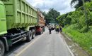 Macet Total Akibat Pohon Tumbang Jalur Medan-Berastagi, Ini yang Dilakukan Polisi
