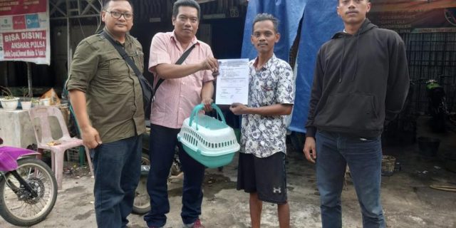 Warga Langkat Serahkan 2 Ekor Kukang Yang Dia Tebus Kepada BKSDA Sumut