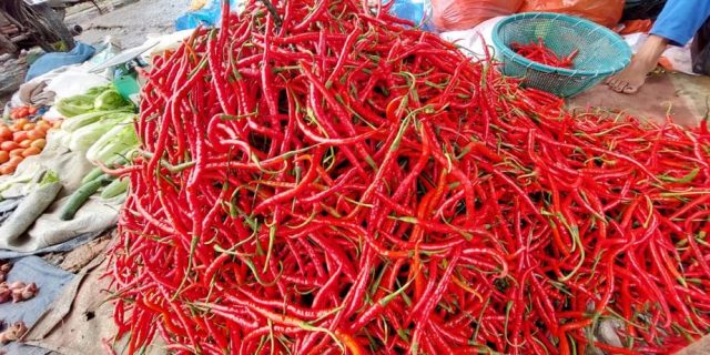 Harga Cabai Semakin Naik, Pedagang dan Emak-Emak di Medan Mengeluh