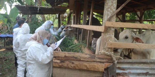 Percepat Penyembuhan PMK, Kapolda Sumut Minta Posko PPKM Aktif