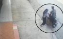 Viral Wanita di Medan Jadi Korban Begal Payudara
