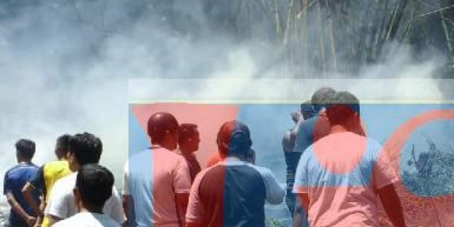 Gawat, Sijago Merah Kembali Marak di Kota Gunungsitoli Gawat, Sijago Merah Kembali Marak di Kota Gunungsitoli