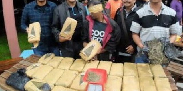 Polsek Medan Baru Gagalkan Pengedaran Ganja 30 Kg di Apartemen