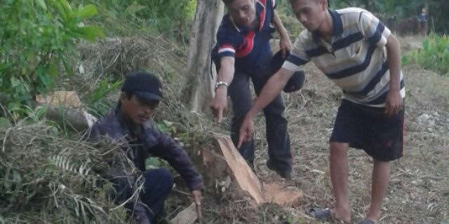 Ratusan Juta Anggaran DD di Desa Ononamolo Tumula Masuk Kantong