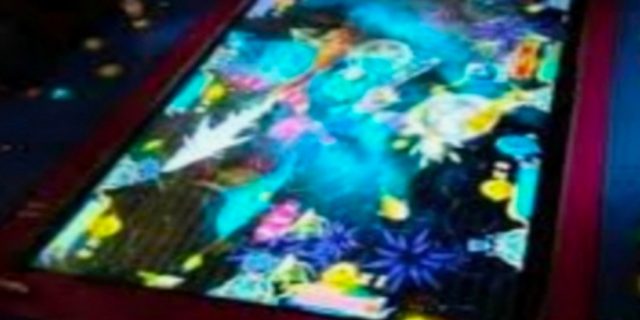 Warga Minta Polisi Tangkap Bandar Judi Game Tembak Ikan di Jalan Danau Singkarak