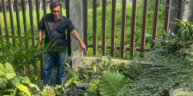 Diduga Usahanya Dirusak Massa Ormas, Ucok Pengusaha Bonsai Minta Keadilan