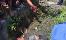 Diduga Tak Konsentrasi Saat Nyetir, Llilik Suparman Tewas Didalam Parit