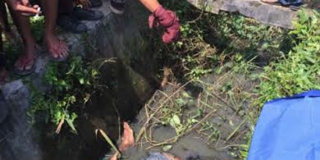 Diduga Tak Konsentrasi Saat Nyetir, Llilik Suparman Tewas Didalam Parit Diduga Tak Konsentrasi Saat Nyetir, Llilik Suparman Tewas Didalam Parit