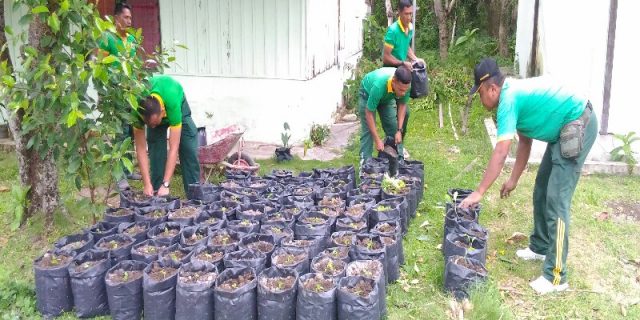 Hindari Kemahalan Harga Cabai, Hal Ini Dilakukan Kodim 0311/Pessel 