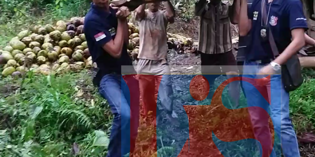 Pelaku Penikaman Terhadap Matatiani Zai Ditangkap Polsek Lahewa