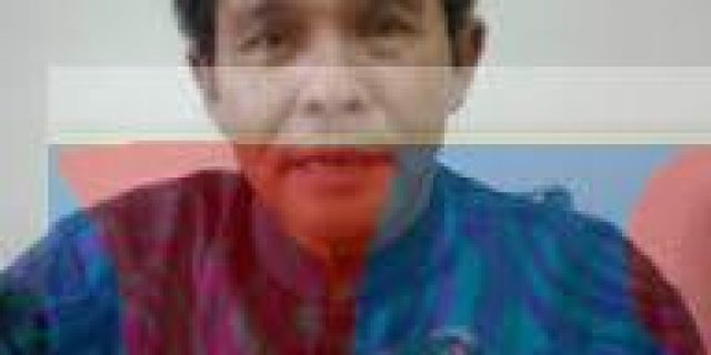 Wara Sinuhaji : PP Ikut Andil Merubah Paradigma Orde Baru
