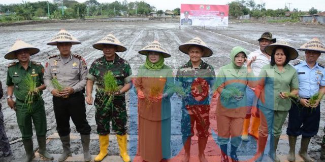 Dandim Kota Medan Laksanakan Penanaman Padi