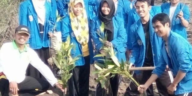 75 Orang Mahasiswa/i Lakukan Aksi Penanaman Bibit Mangrove di Kawasan Belawan