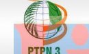 PTPN III Peringati Maulid Nabi Muhammad SAW 1437 H