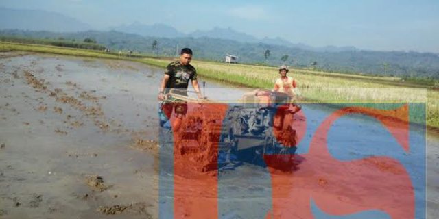 Babinsa Koramil 08/NGN Dampingi Petani Mengelolah Lahan